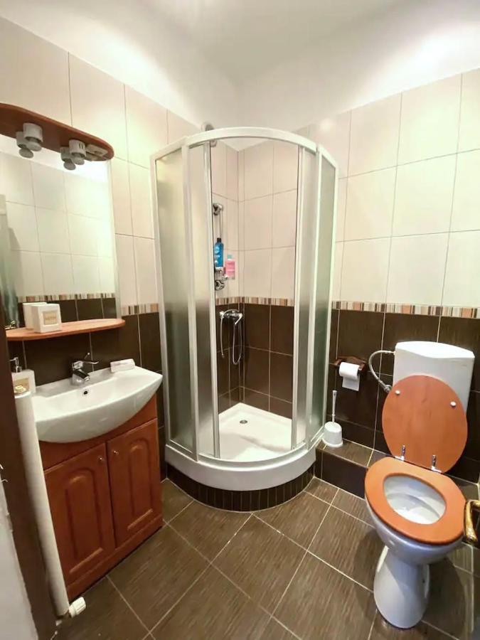 Harmony Homes- Piata Unirii Central Apartament 티미쇼아라 외부 사진