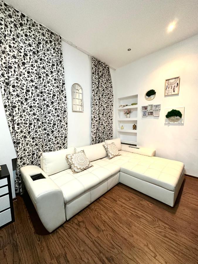Harmony Homes- Piata Unirii Central Apartament 티미쇼아라 외부 사진