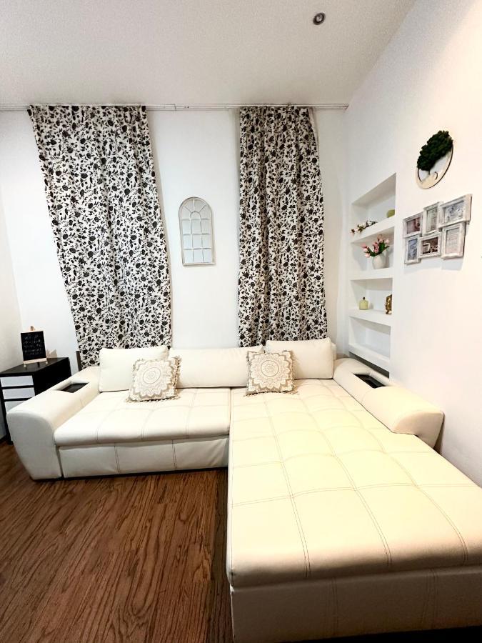 Harmony Homes- Piata Unirii Central Apartament 티미쇼아라 외부 사진