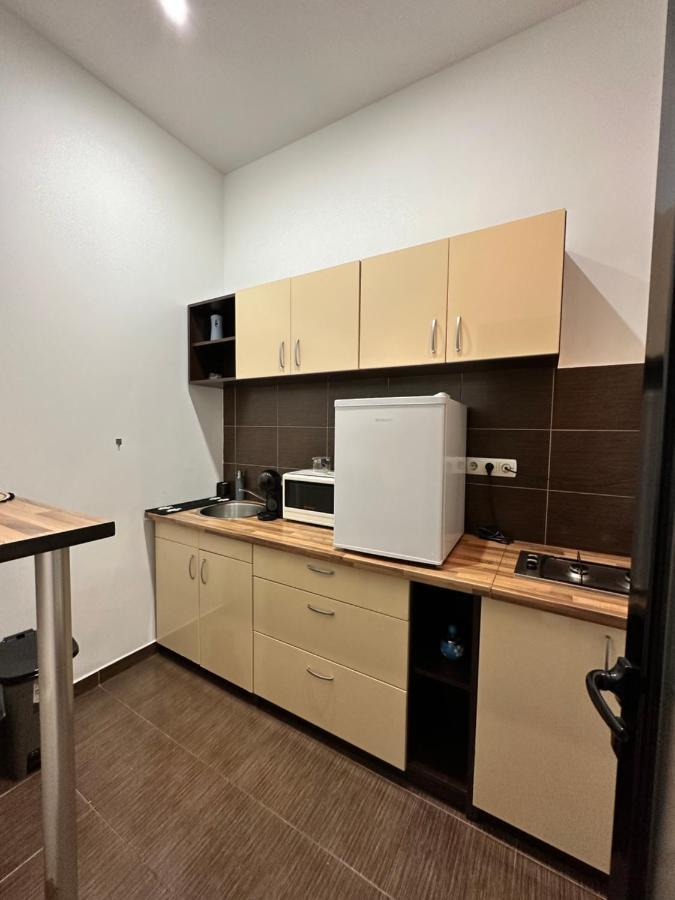 Harmony Homes- Piata Unirii Central Apartament 티미쇼아라 외부 사진