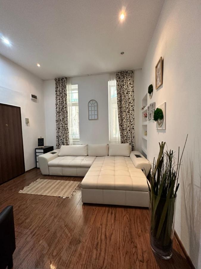 Harmony Homes- Piata Unirii Central Apartament 티미쇼아라 외부 사진