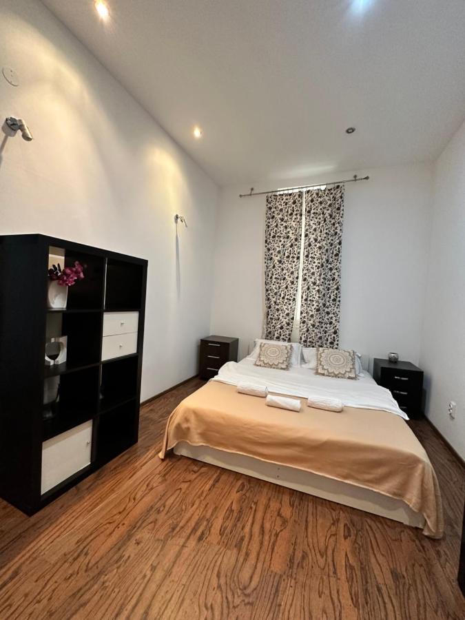 Harmony Homes- Piata Unirii Central Apartament 티미쇼아라 외부 사진
