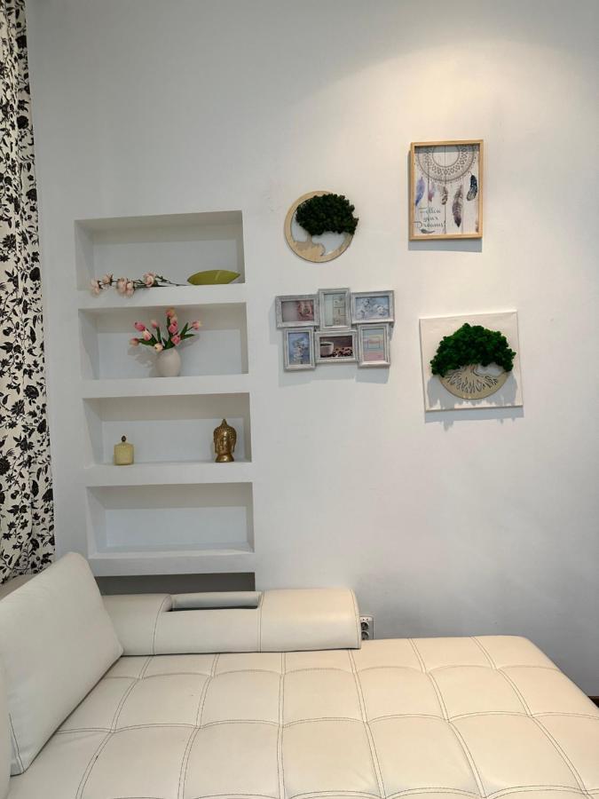 Harmony Homes- Piata Unirii Central Apartament 티미쇼아라 외부 사진